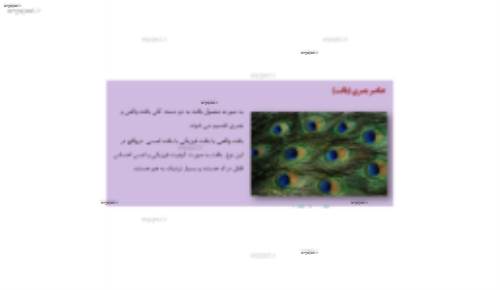 مبانی هنرهای تجسمی در طراحی داخلی( بافت)