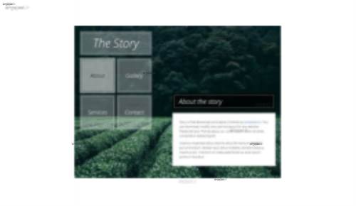 قالب وب سایت The Story 